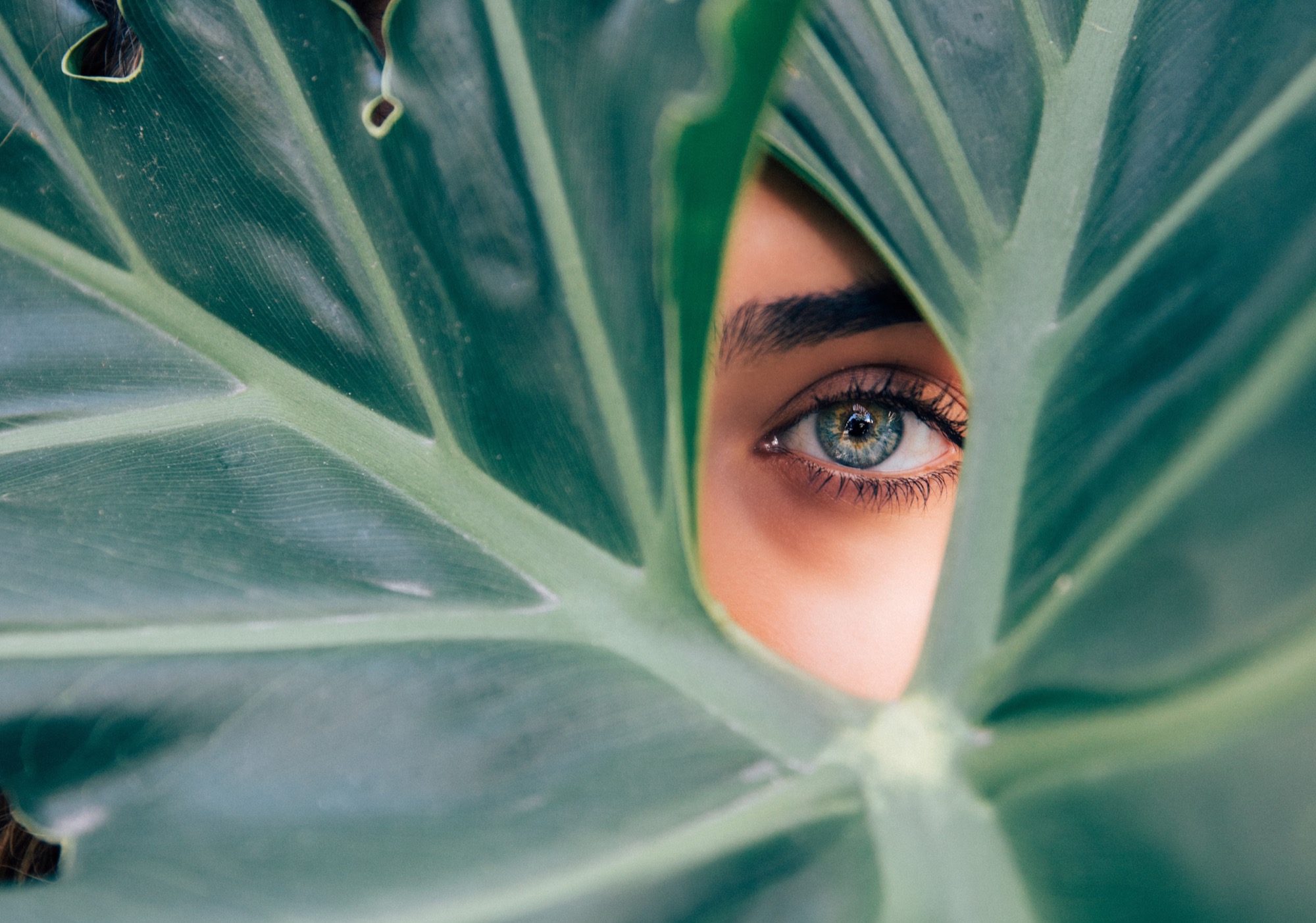 The Unofficial List of What Terrifies Creative&nbsp;Directors